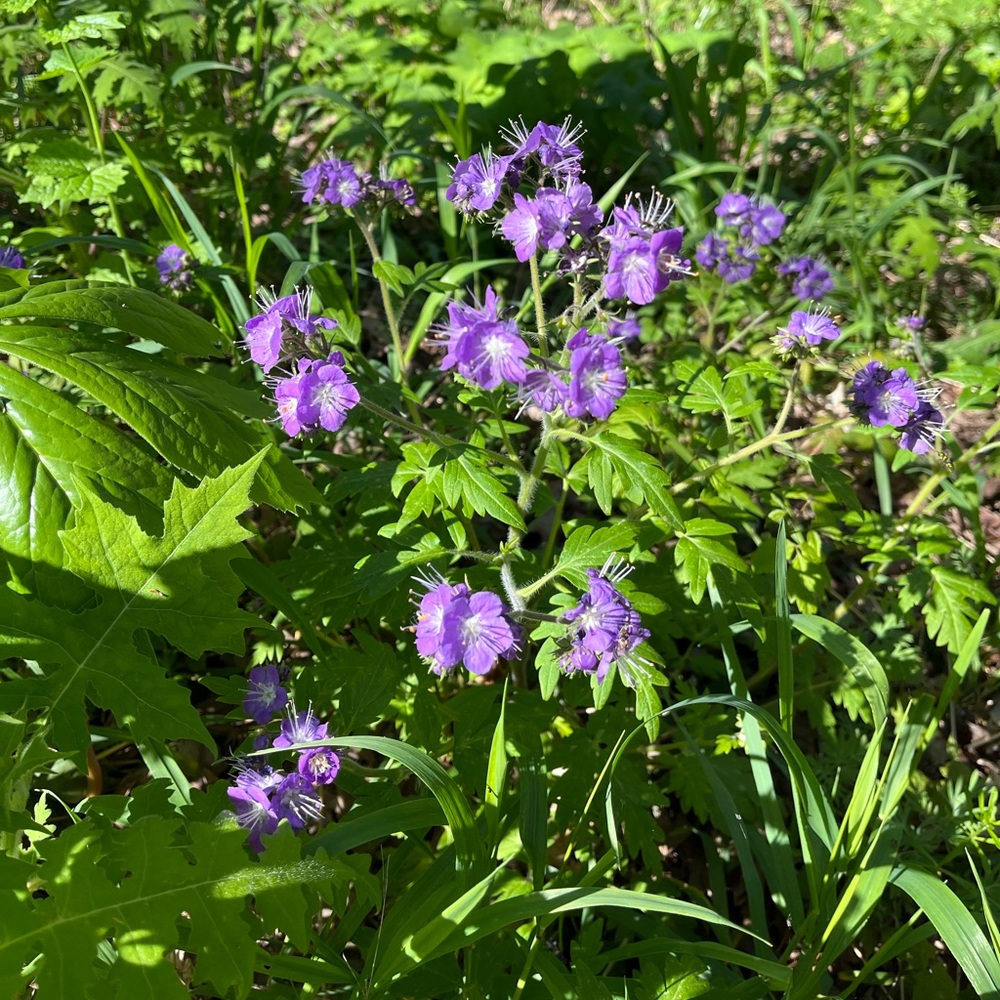 Meet your Posher, Rochelle - Picture 7 of 16